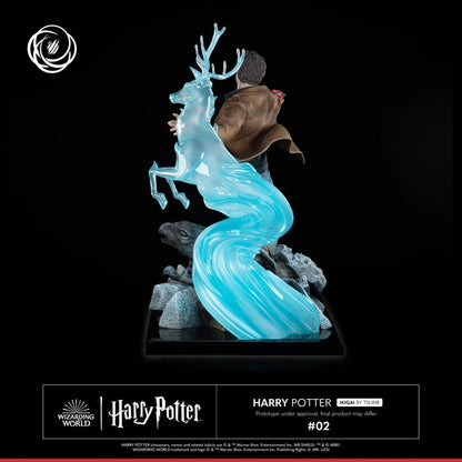 Harry Potter figurine 1/6 IKIGAI 30 cm - Image 7