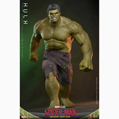 Marvel figurine 1/6 Hulk 51 cm - Image 7