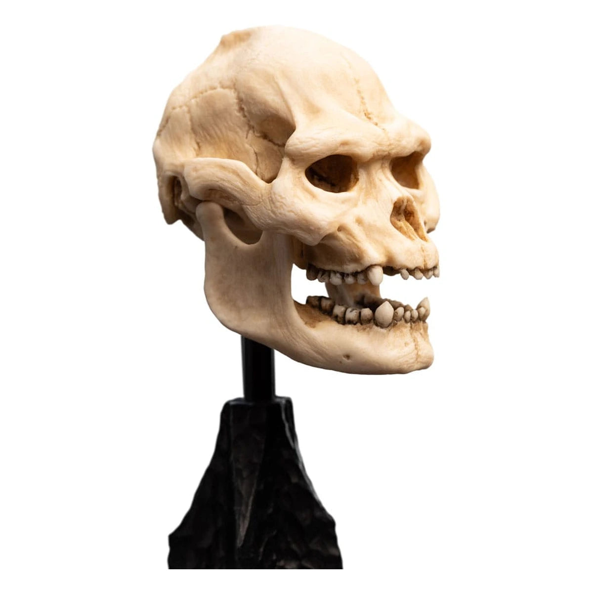 Le Seigneur des Anneaux statuette Skull of Lurtz 14 cm - Image 5