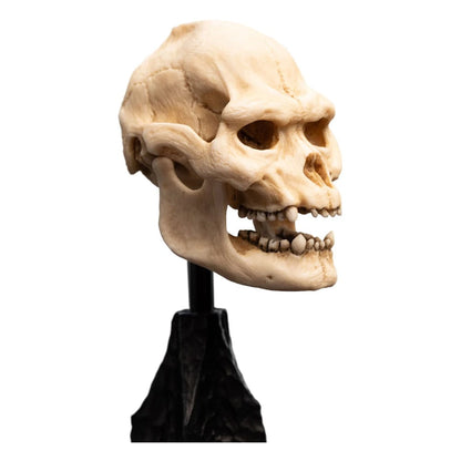 Le Seigneur des Anneaux statuette Skull of Lurtz 14 cm - Image 5