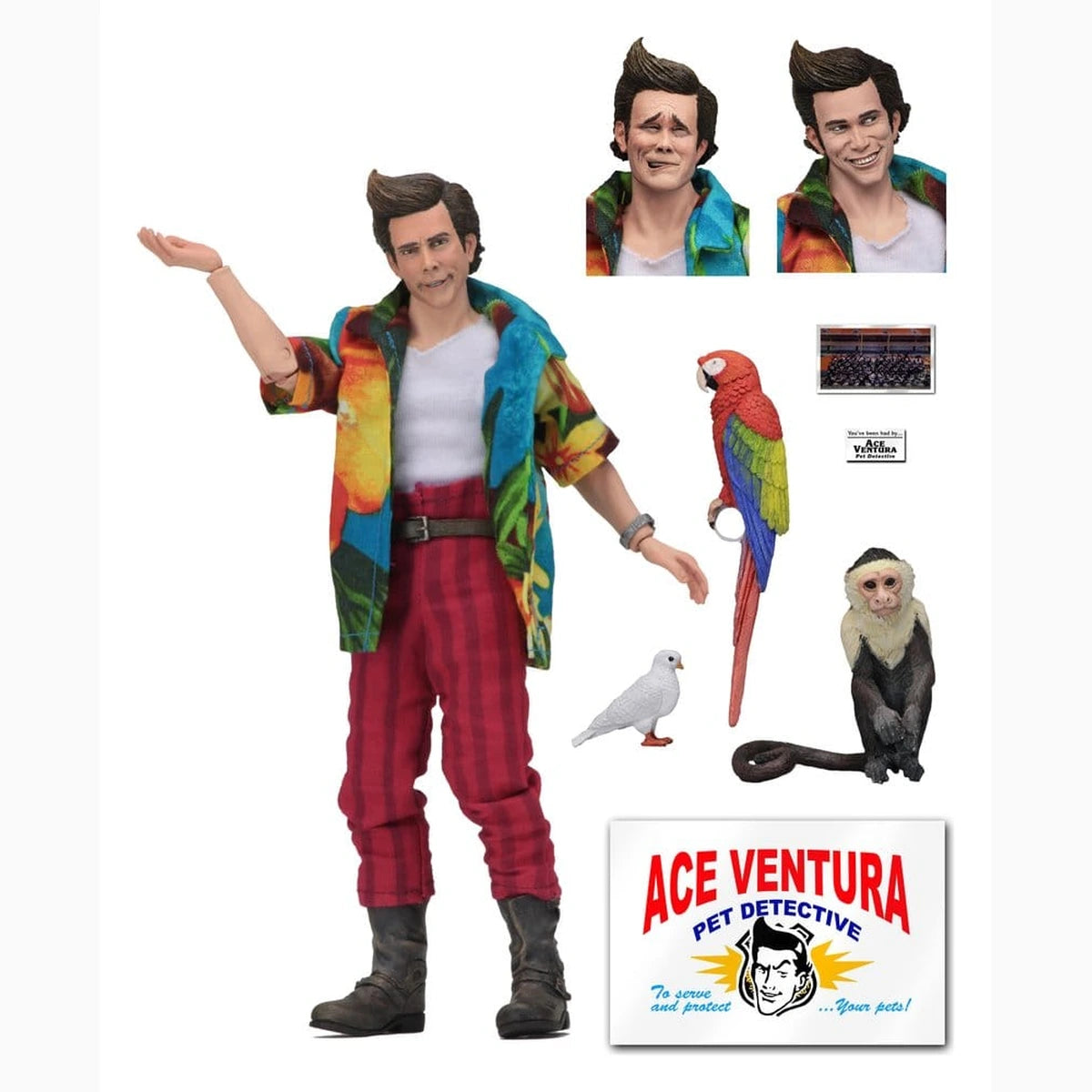 Ace Ventura Clothed figurine Ace Ventura 20 cm - Image 3