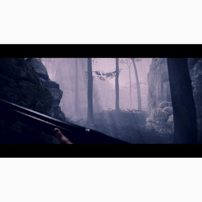Project Songbird PS5