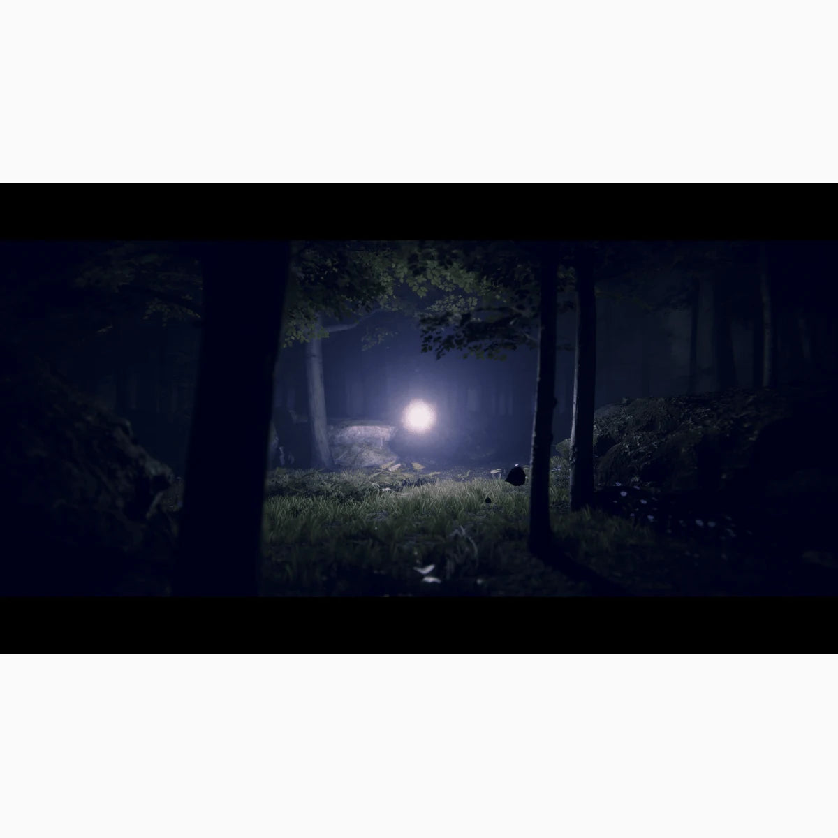 Project Songbird PS5