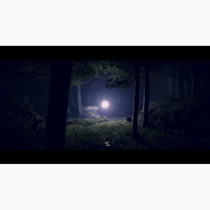 Project Songbird PS5