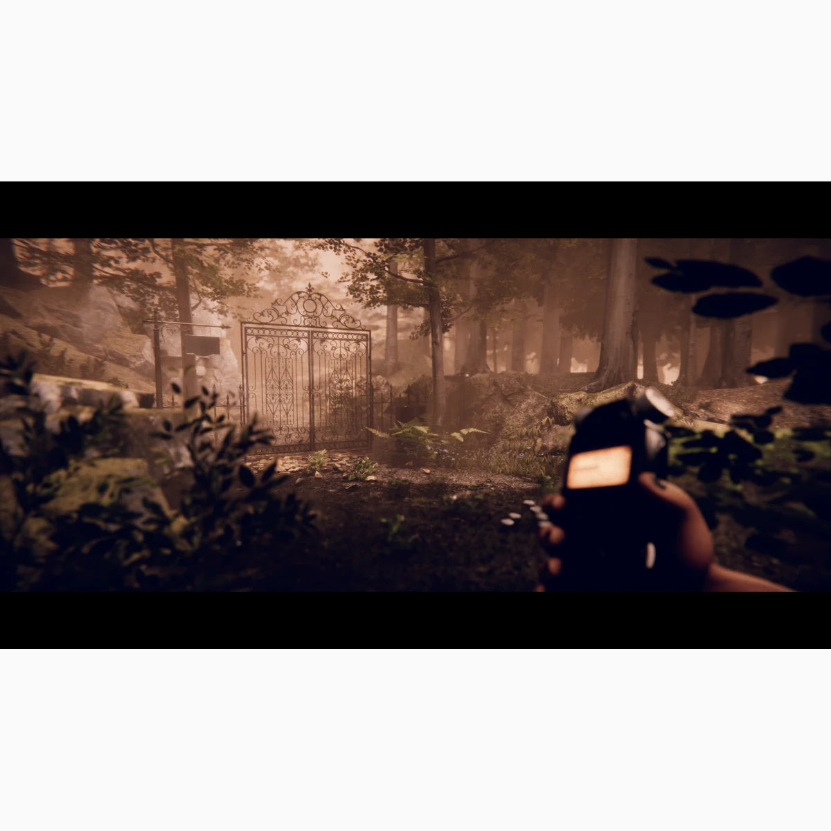 Project Songbird PS5