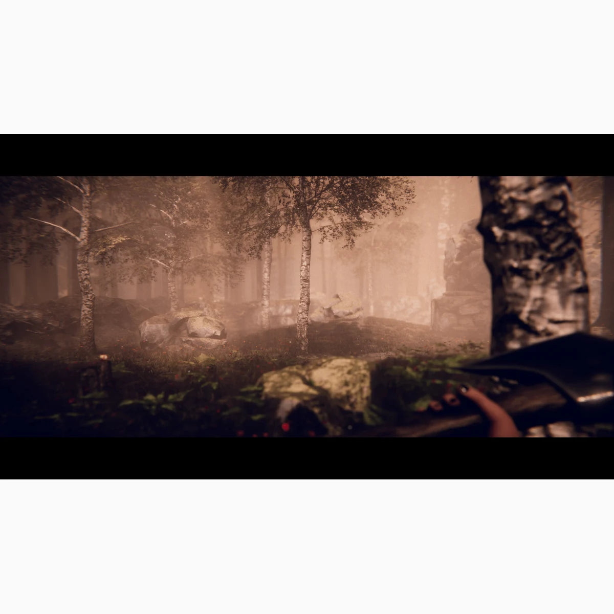 Project Songbird PS5