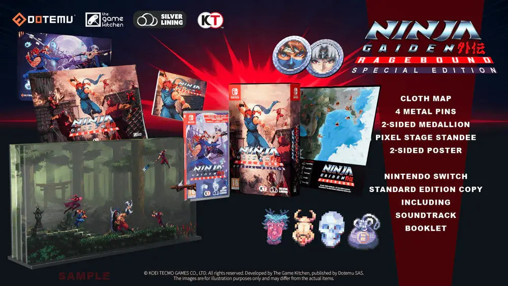 NINJA GAIDEN Ragebound Special Edition SWITCH Silver Lining